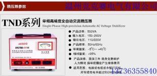 TND-500VA 電腦網絡工程專用穩壓器 守護網絡穩定運行的電力衛士